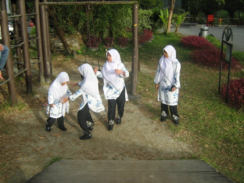 IMG 0865