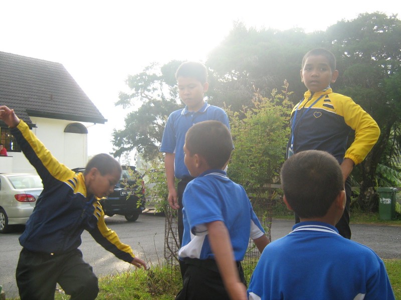 IMG 0879