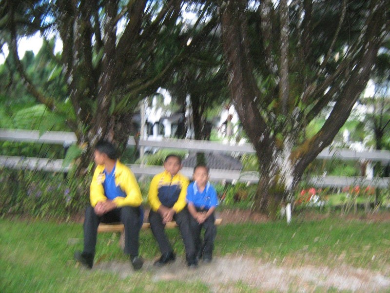 IMG 0922(1)