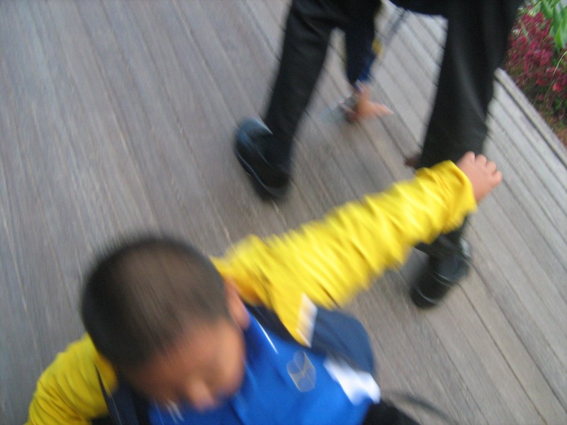 IMG 0943(1)