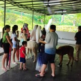 IMG-20240531-WA0113