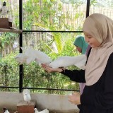 IMG-20240531-WA0132
